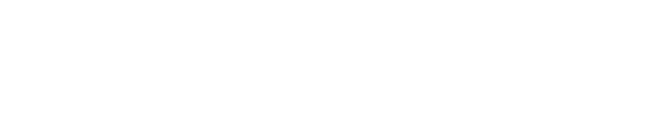 Topo Virtual Services Logo White 2